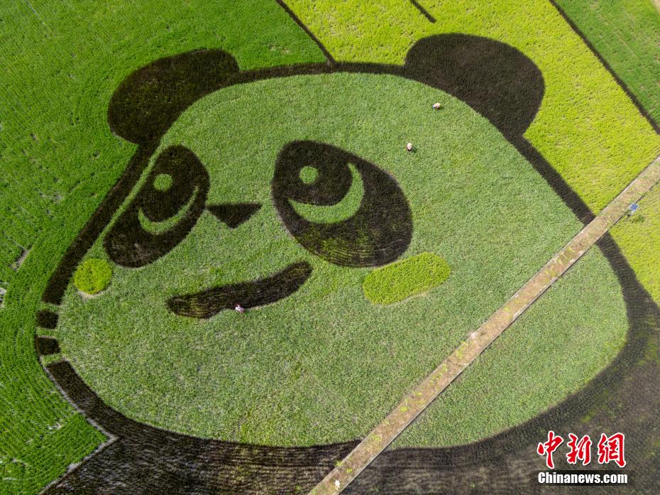 ?? ???????? ??? ?? ????? ?????? ???? ??? ??? ????? ??????