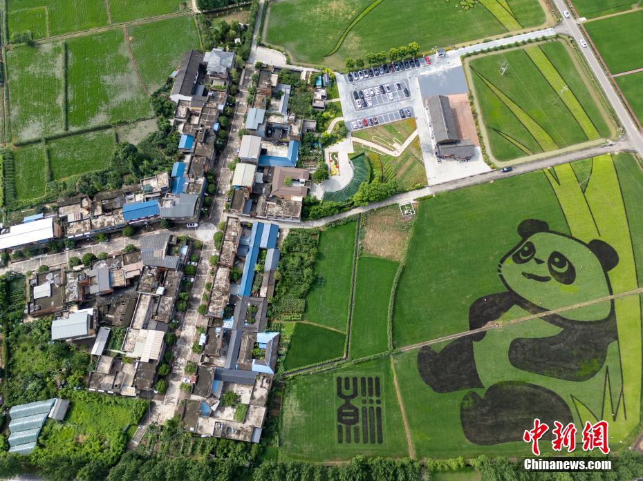 ?? ???????? ??? ?? ????? ?????? ???? ??? ??? ????? ??????