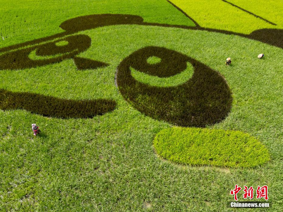 ?? ???????? ??? ?? ????? ?????? ???? ??? ??? ????? ??????