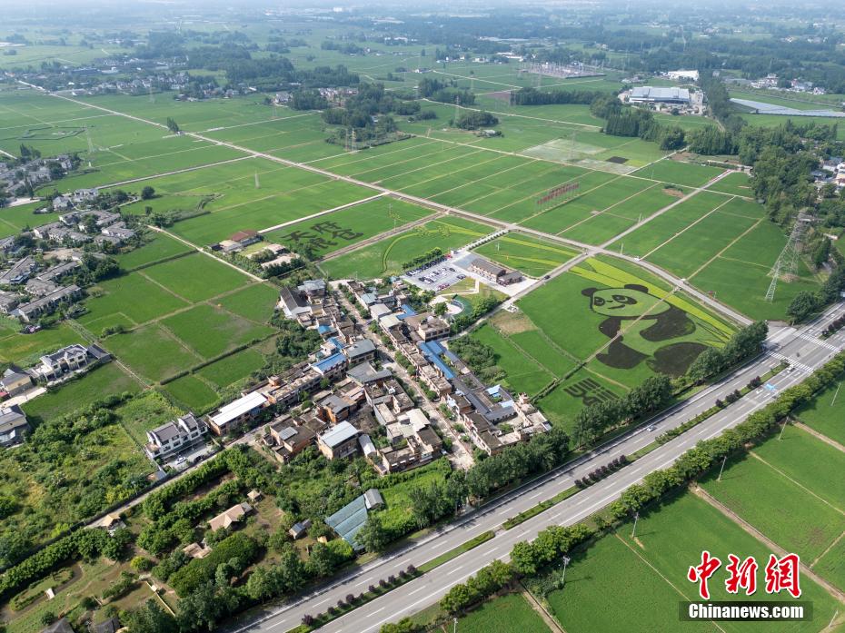 ?? ???????? ??? ?? ????? ?????? ???? ??? ??? ????? ??????