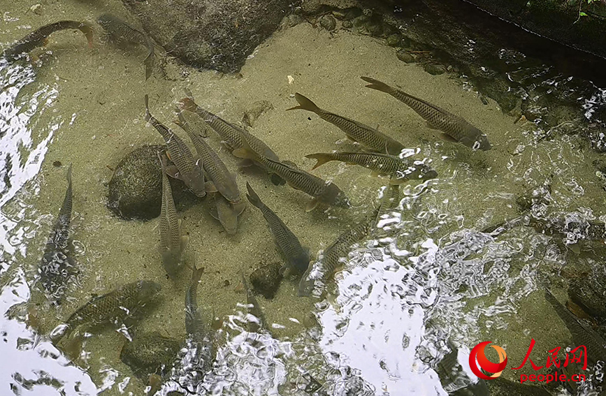 ???????: ????? ??????? ??? ??????? ??? ??????? ????????