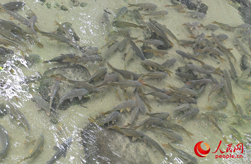 ???????: ????? ??????? ??? ??????? ??? ??????? ????????