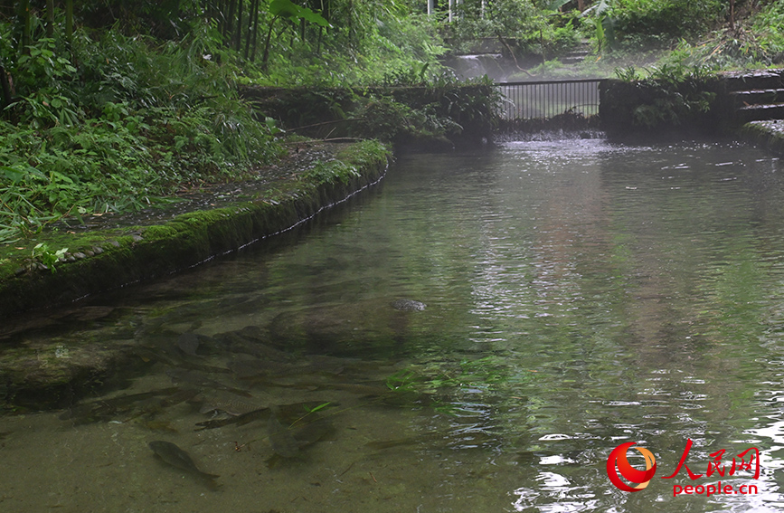 ???????: ????? ??????? ??? ??????? ??? ??????? ????????