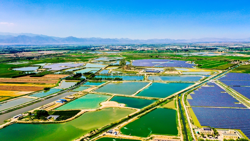 ???????: ????? "????????? ???????" ?? ??????? ??????? ???????