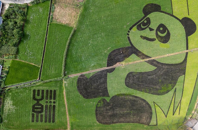 ?? ???????? ??? ?? ????? ?????? ???? ??? ??? ????? ??????