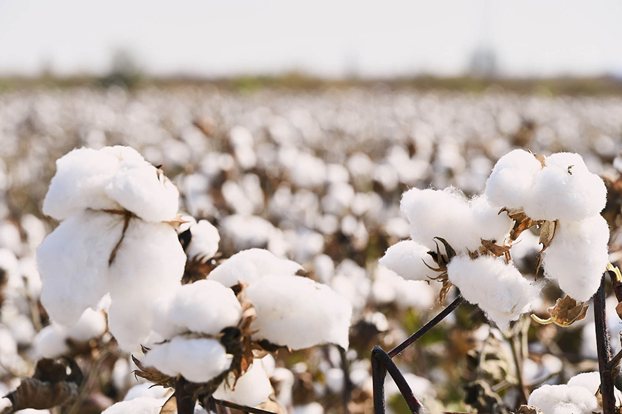 ?? ????????? ?? ????? ????? ???? ????? ???????? ?????