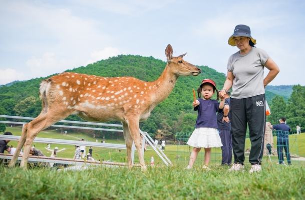 ???? ??? ??????? "????? ???????"? ????? ????? ?? ???????