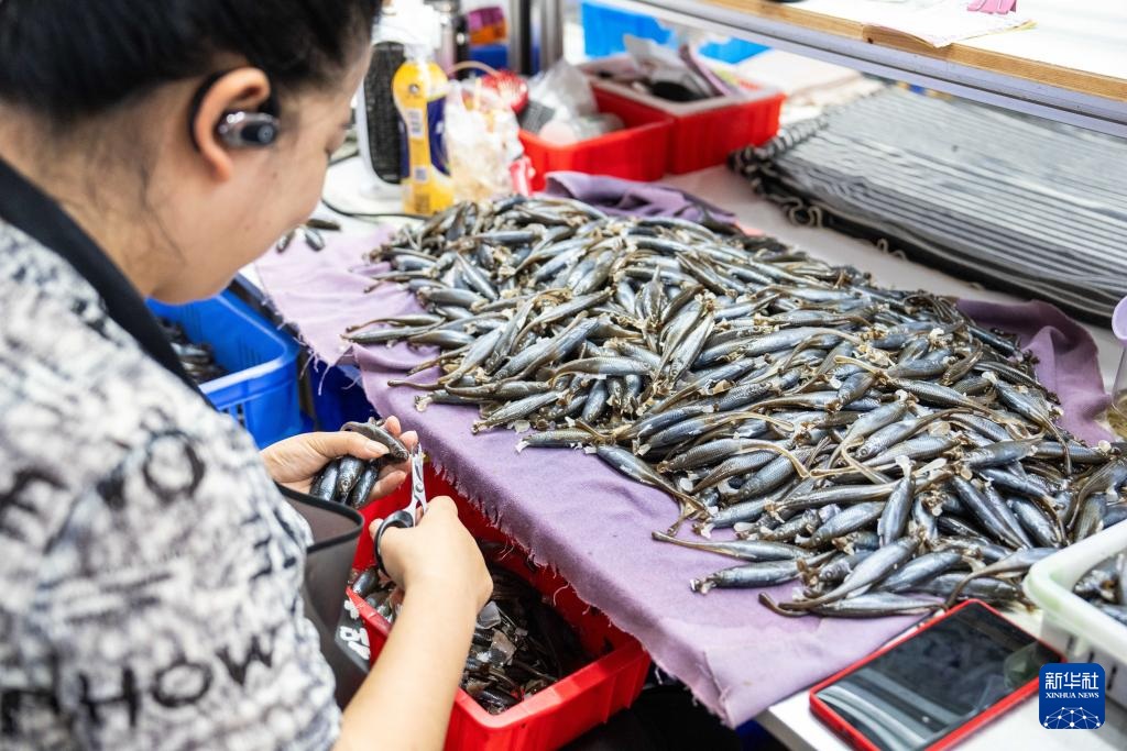 ????????? ?????: ???????? ???????