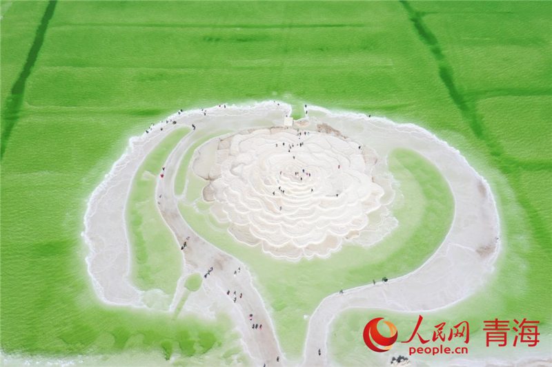 ???? ???? ?????? ?????? ???????