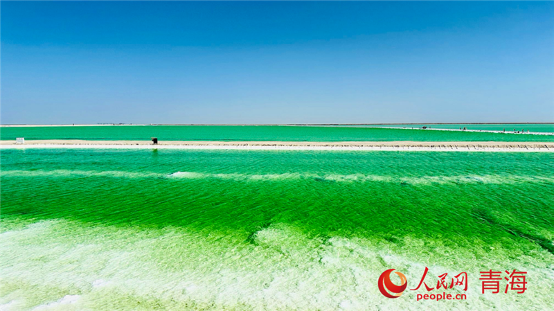 ???????? ??????? ?? ????????? ???? ????? ?????????