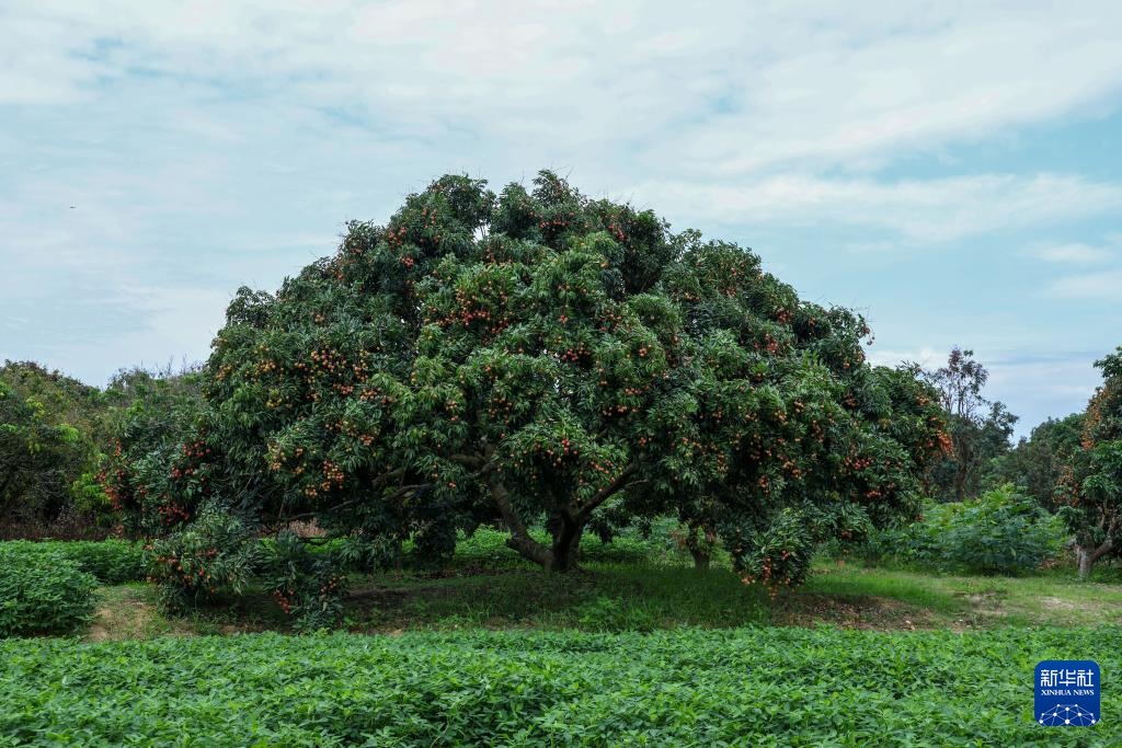 ????? ??????? ??? ????? ??? ???? ?????????? ?? ???