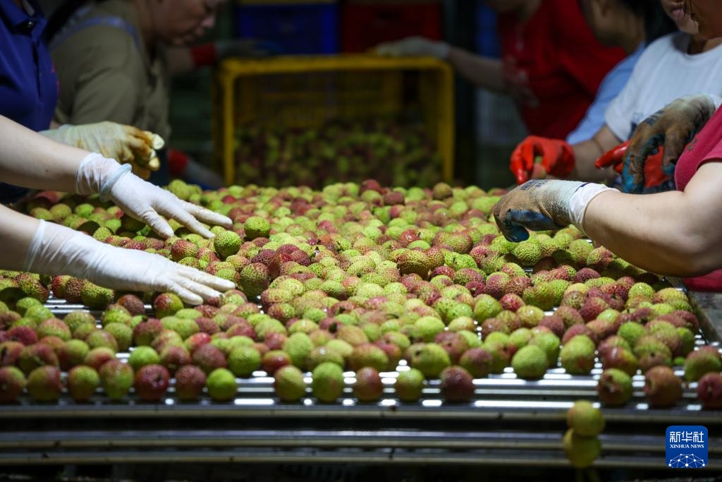 ????? ??????? ??? ????? ??? ???? ?????????? ?? ???