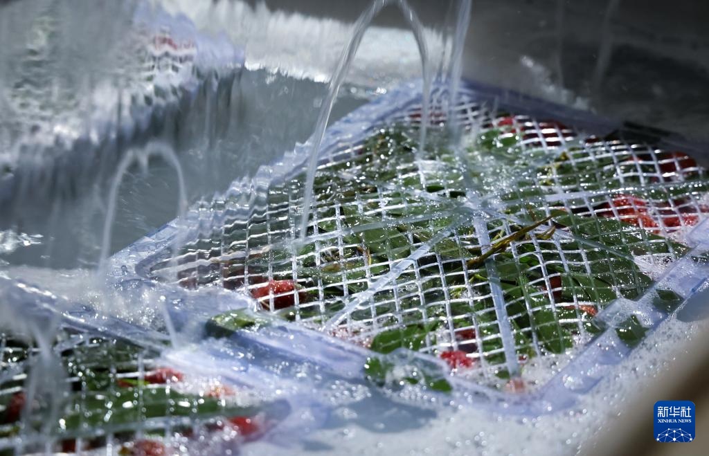 ????? ??????? ??? ????? ??? ???? ?????????? ?? ???