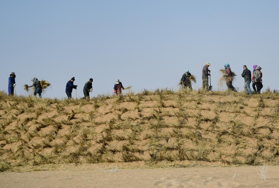 ????? ???? ?????? ????? ??????? ?????? ?? ??????? ????????