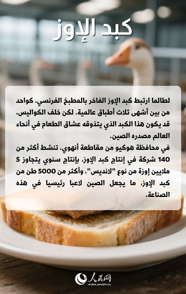 ??? ?????? ???? ????? ????????? ????? ???? ?????? ???????