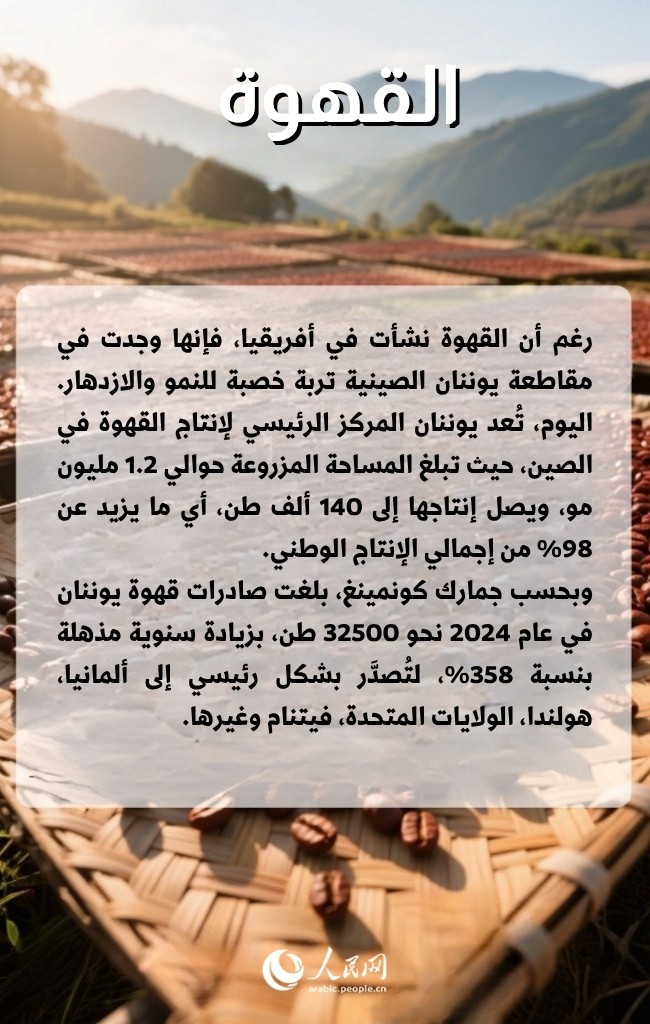 ??? ?????? ???? ????? ????????? ????? ???? ?????? ???????