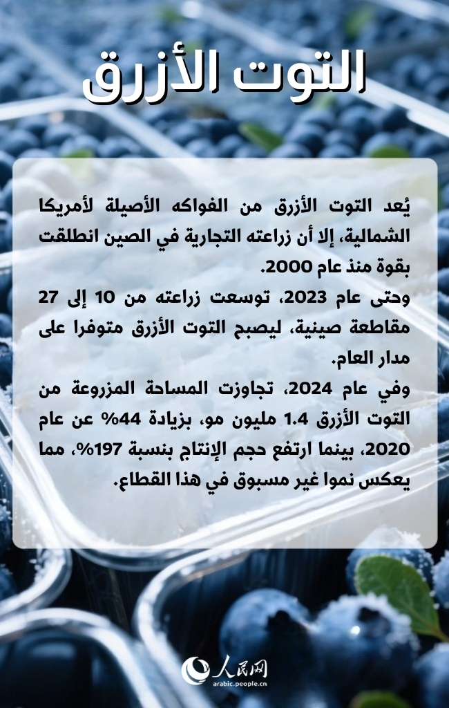 ??? ?????? ???? ????? ????????? ????? ???? ?????? ???????