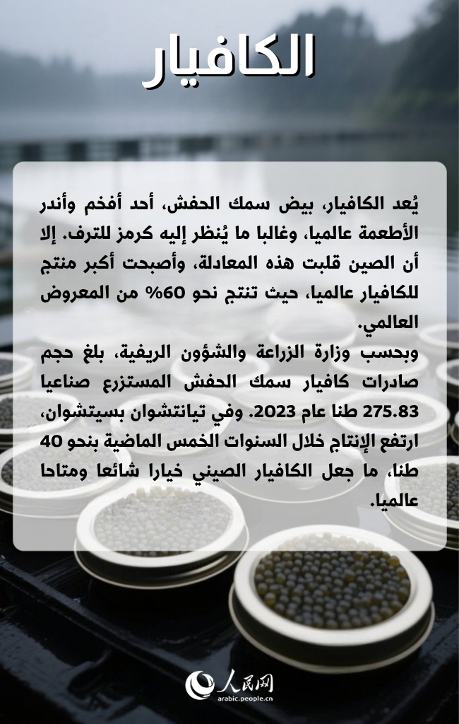 ??? ?????? ???? ????? ????????? ????? ???? ?????? ???????