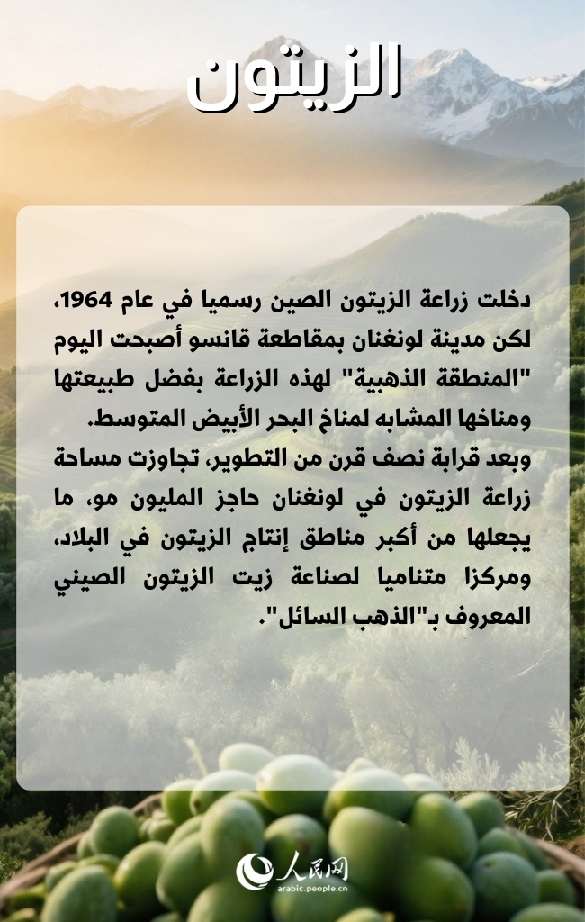 ??? ?????? ???? ????? ????????? ????? ???? ?????? ???????