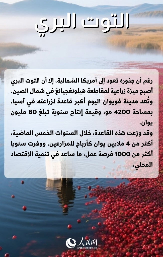 ??? ?????? ???? ????? ????????? ????? ???? ?????? ???????