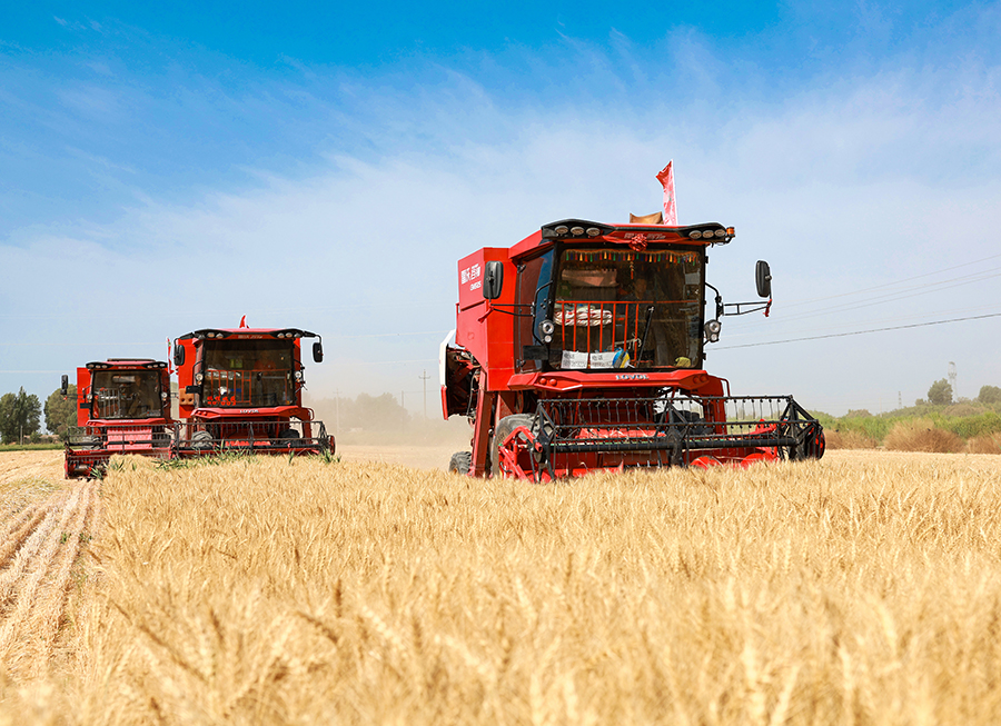 ????? ???? 149 ????? ?? ?? ?????? ??????? ?? ??? 2025 ??? ??? ??????? ??????