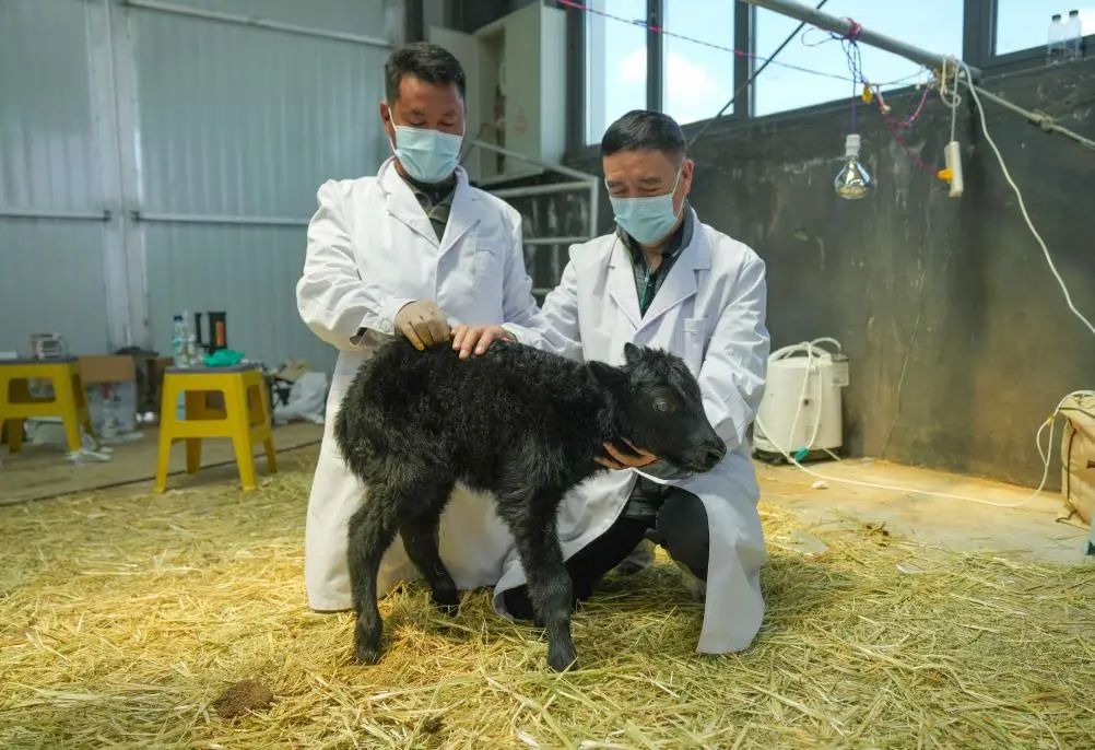 ????? ?????? ?????? ?? ??????? ????? ?????