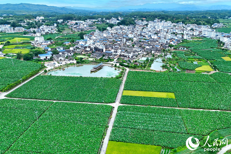 ???? ?????? ???????? ???? ??????? ????????? ??? ???????