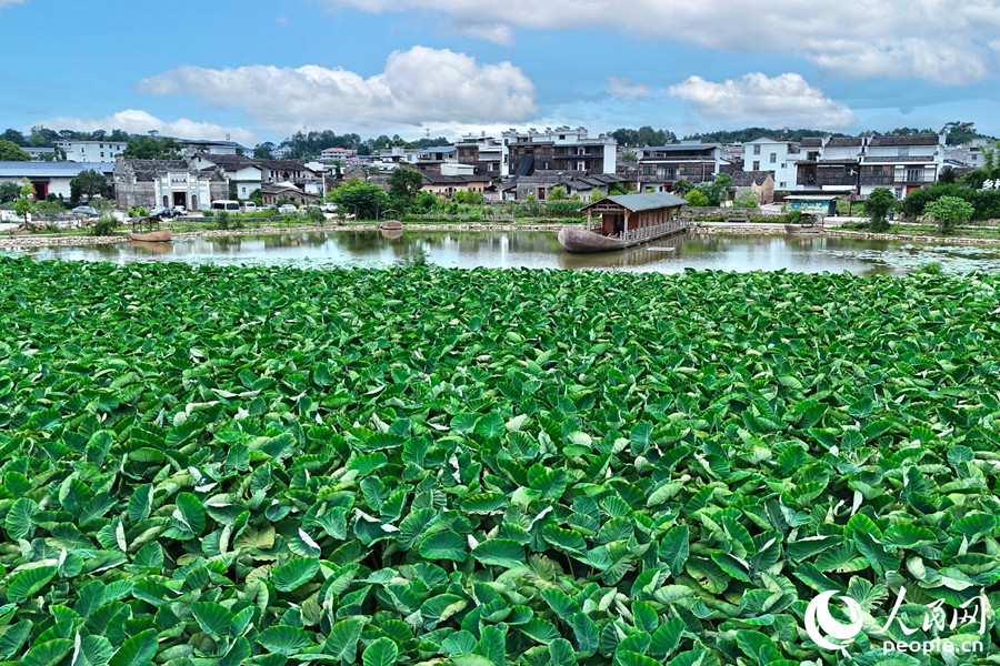 ???? ?????? ???????? ???? ??????? ????????? ??? ???????