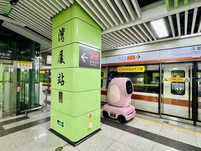 ???? ?? ????? ?????: ????? ???? ????? ?????? ??????? ??? ???? ?????