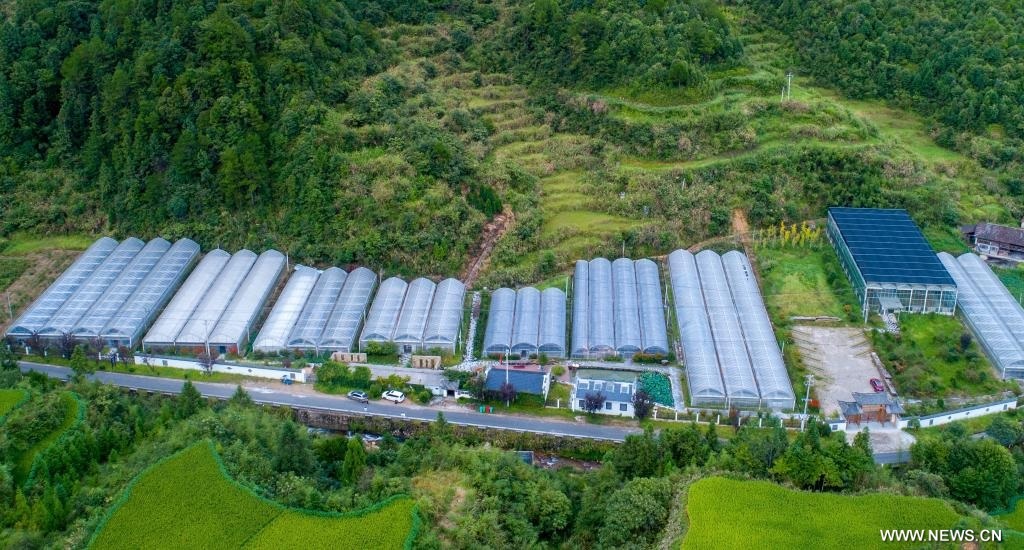 ????? ???????? ???????? ?? ????? ??????? ?? ???? ?????