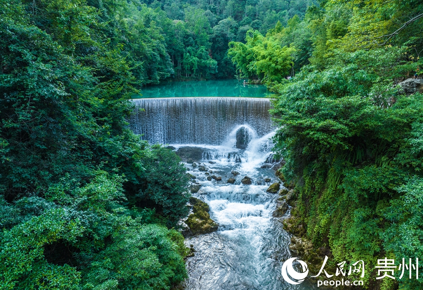 ?????? ??????: ????? ??????