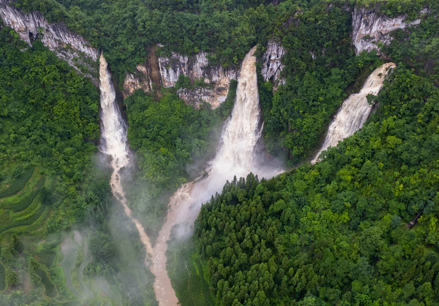 ?????? ??????: ????? ??????