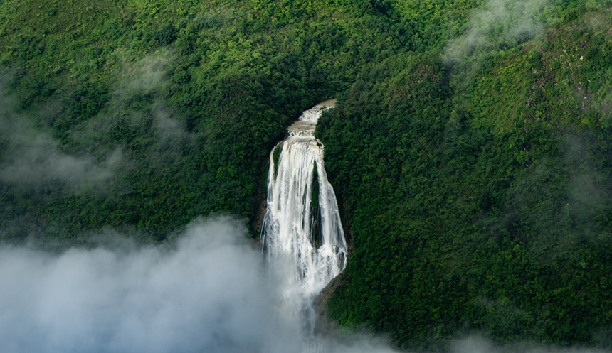 ?????? ??????: ????? ??????