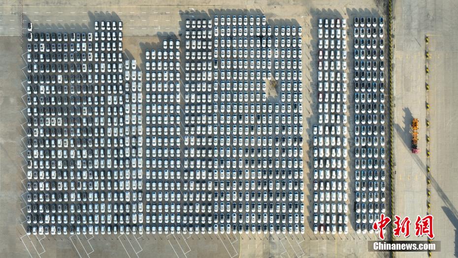 ?? ????? ???? ??????? ???? .. ???? ???? ?? 1000 ????? ????? ????? ??? ????? ??????