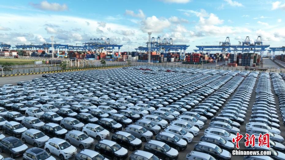 ?? ????? ???? ??????? ???? .. ???? ???? ?? 1000 ????? ????? ????? ??? ????? ??????