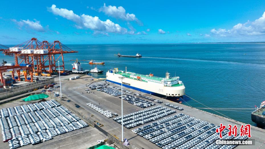 ?? ????? ???? ??????? ???? .. ???? ???? ?? 1000 ????? ????? ????? ??? ????? ??????