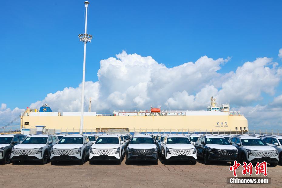 ?? ????? ???? ??????? ???? .. ???? ???? ?? 1000 ????? ????? ????? ??? ????? ??????