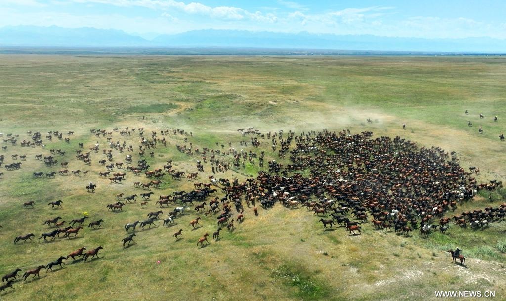 ?????? 20 ????? 2025 (??????) ?? ?????? ???????? ??? 19 ????? 2025? ???? ???? ???? ?????? ????? ???? ?? ?????? ?????? ?????? ???????? ????????? ????? ????? ?? ???? ???? ?????.