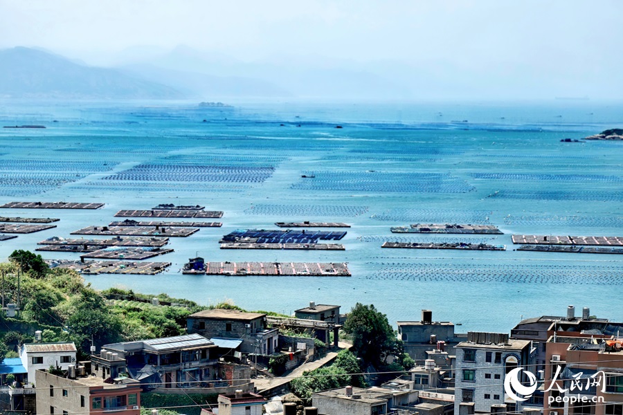 ?????????? ??????: ???? ??? ??? ????? ?? ?????