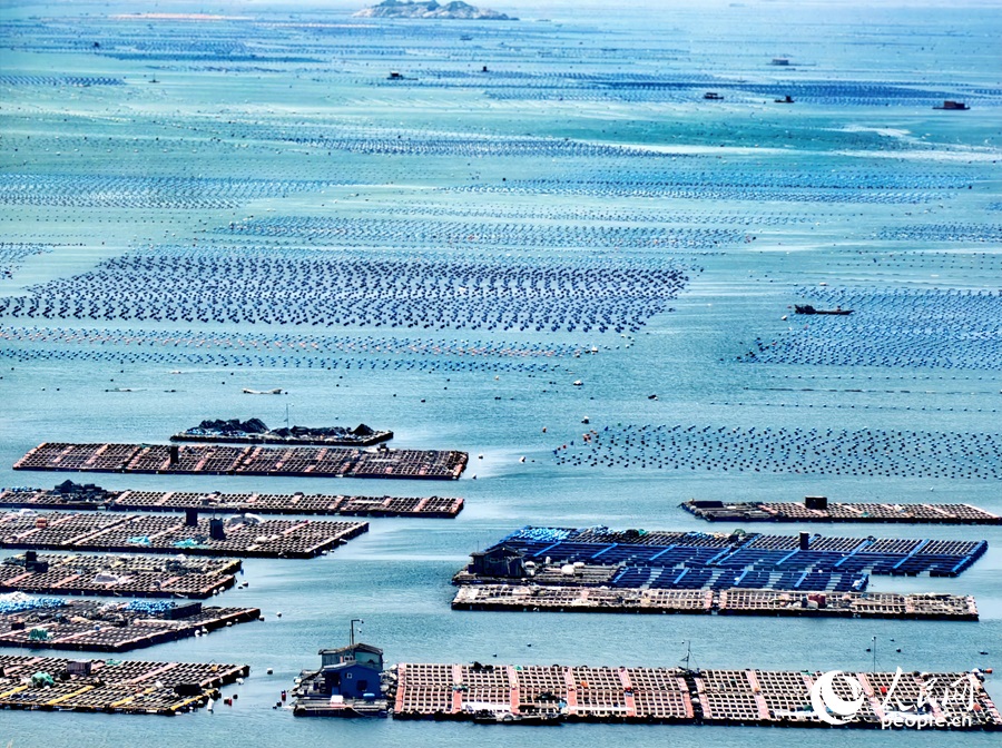 ?????????? ??????: ???? ??? ??? ????? ?? ?????