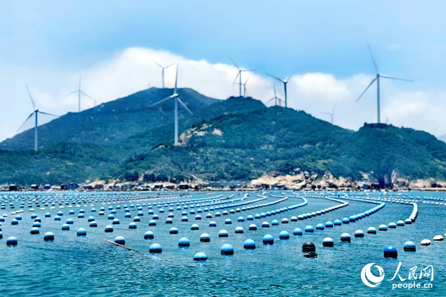 ?????????? ??????: ???? ??? ??? ????? ?? ?????