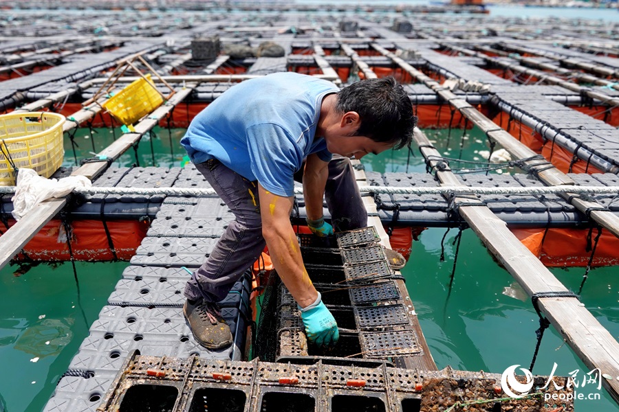 ?????????? ??????: ???? ??? ??? ????? ?? ?????