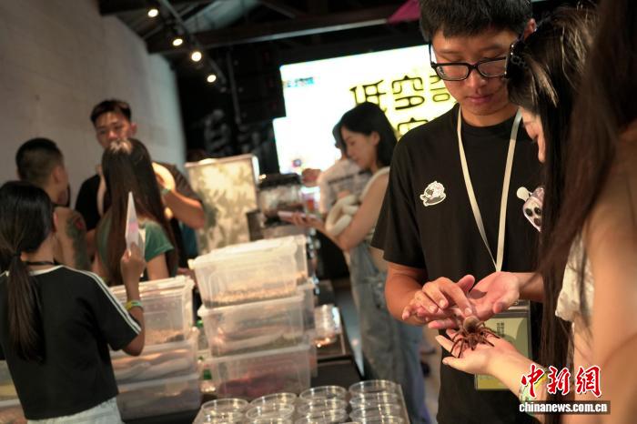 ????? ?? ??? ??????? ??????? ?? ??????? ???????