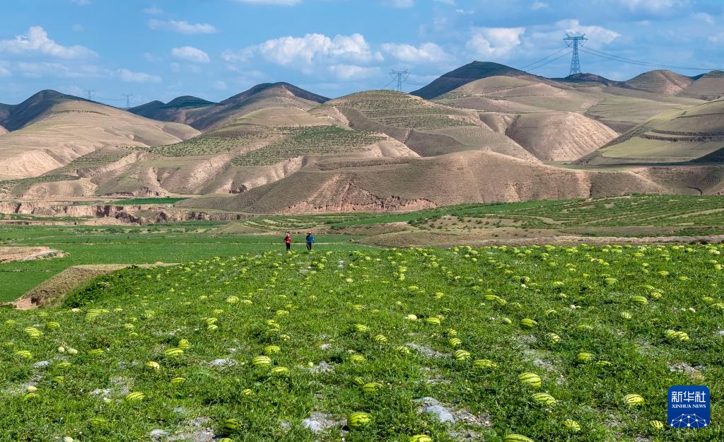 ???????? ???????: ???? ????? ???? ????? ?? ???????