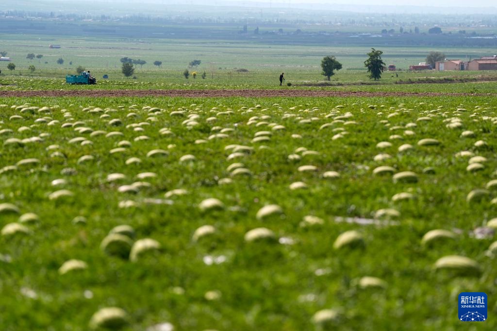 ???????? ???????: ???? ????? ???? ????? ?? ???????