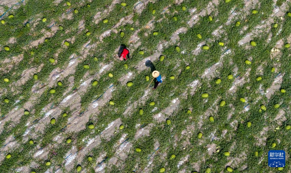 ???????? ???????: ???? ????? ???? ????? ?? ???????