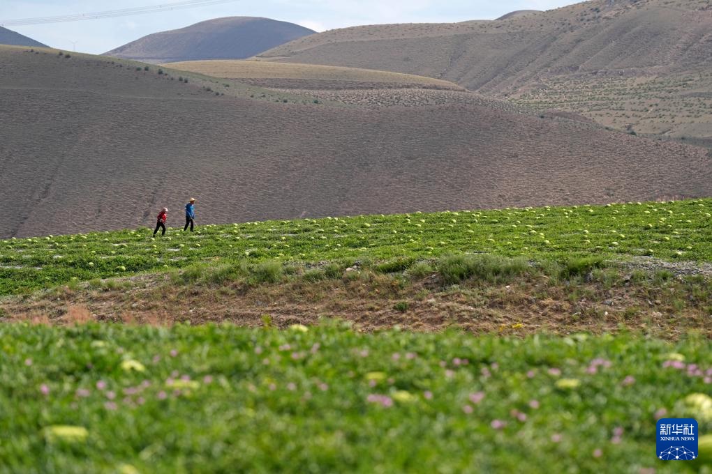 ???????? ???????: ???? ????? ???? ????? ?? ???????