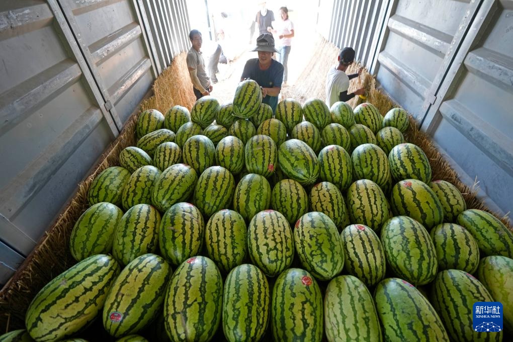 ???????? ???????: ???? ????? ???? ????? ?? ???????