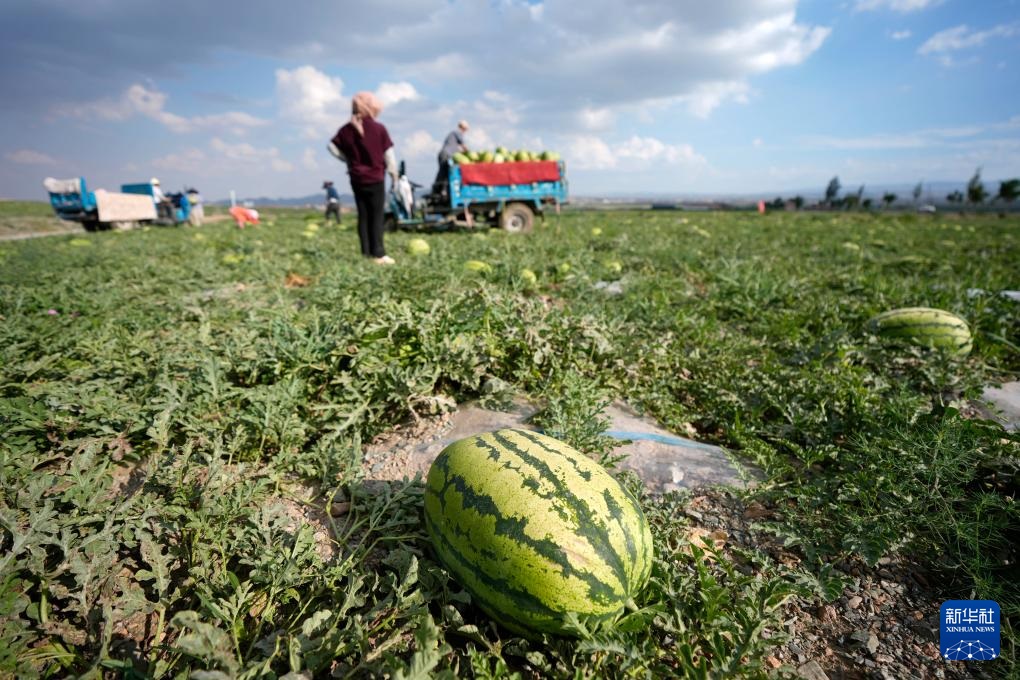 ???????? ???????: ???? ????? ???? ????? ?? ???????