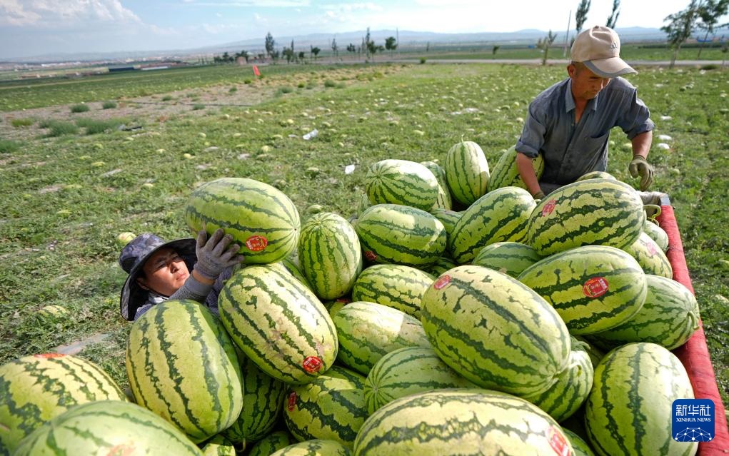 ???????? ???????: ???? ????? ???? ????? ?? ???????